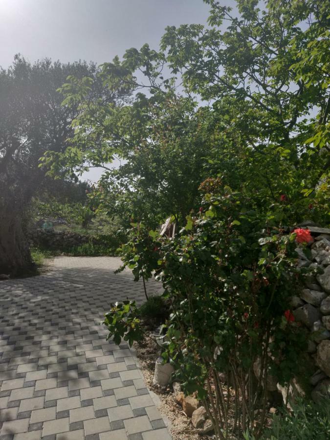Guest House Maslina Vinišće المظهر الخارجي الصورة
